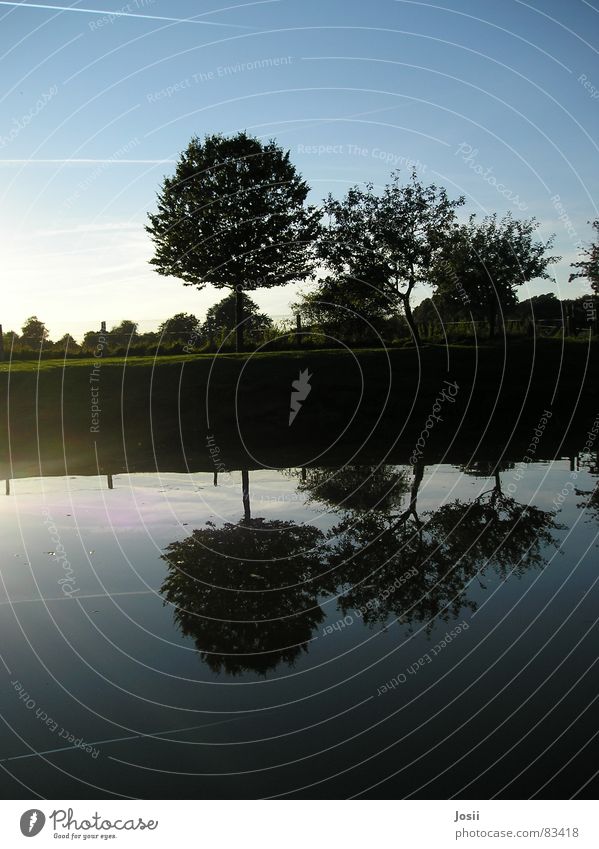mirror image Vapor trail Pond Mirror Mirror image Tree Row of trees Black Body of water Meadow Green Lighting Fence Apple tree Summer Autumn Reflection Water