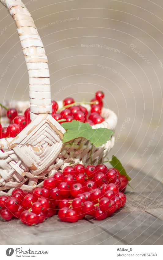 Red Currants Healthy Eating Nature Redcurrant Fruit basket Berries Raw vegetables Berry seed head Red Fruits fruit harvest Organic produce Delicious Sour