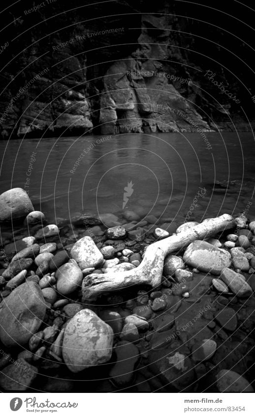 riverbed Riverbed Driftwood Flotsam and jetsam Wood Canyon Electricity Brook wilderness Black & white photo Stone Water