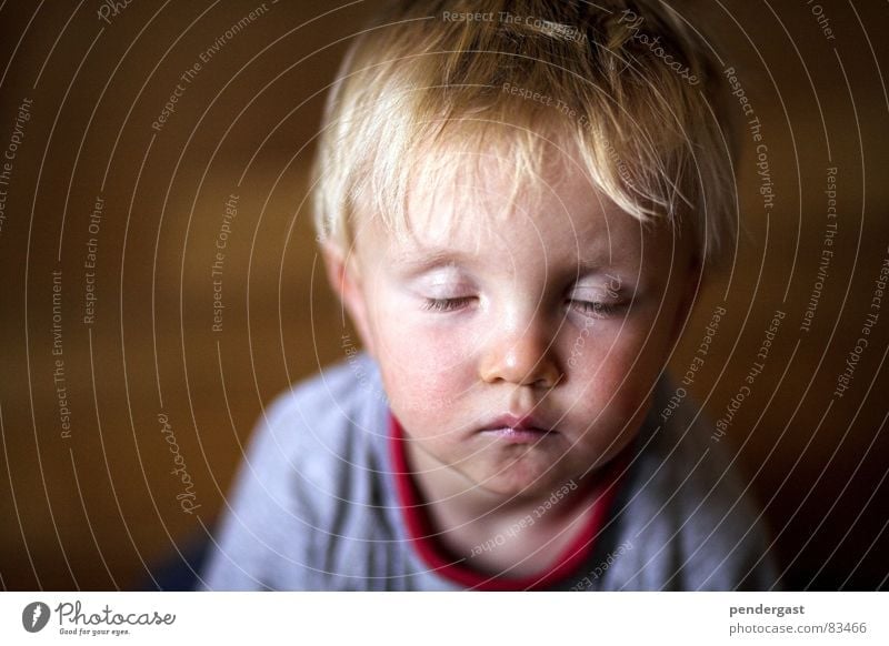 Calm before the storm Child Dreamily Sleep Portrait photograph Playing Toddler Daydream Boy (child) Near little child