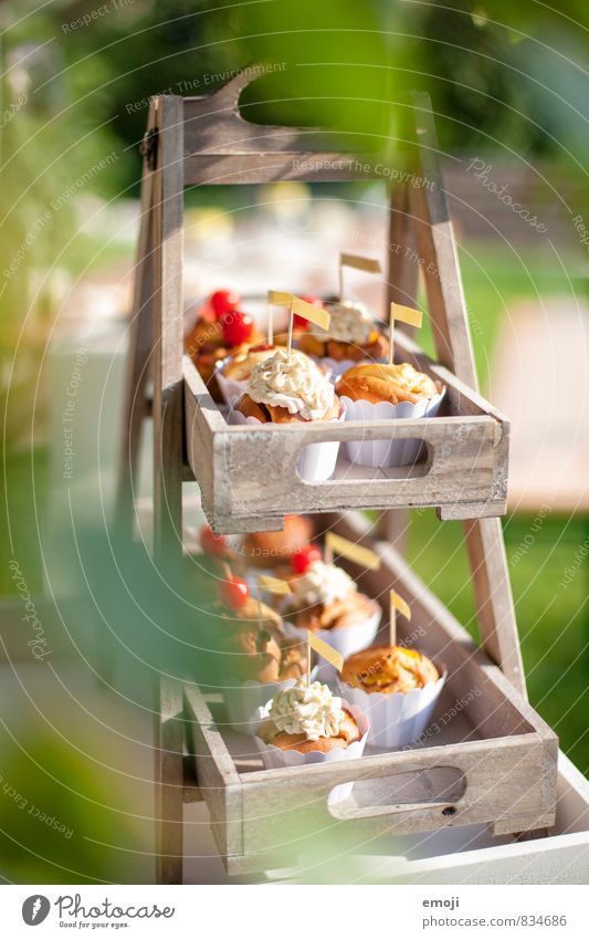 cupcakes Cake Dessert Candy Nutrition Picnic Finger food Delicious Sweet Muffin Cupcake Colour photo Exterior shot Deserted Day Shallow depth of field