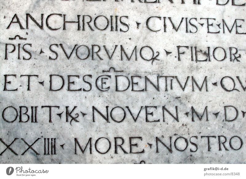 Ligatures in Pisa Letters (alphabet) Latin Italy Inscription Capital letter Photographic technology Characters PISA study Stone ligature