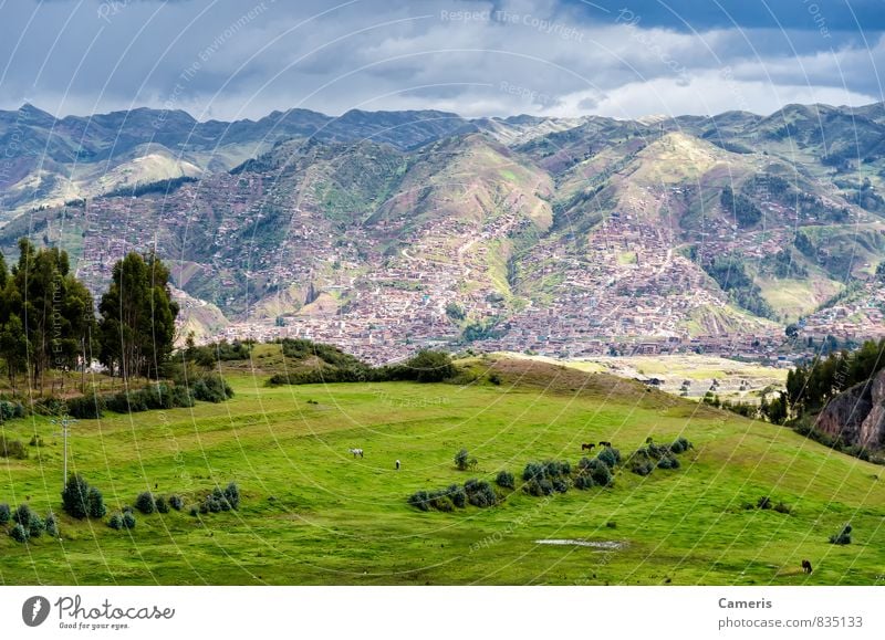 The Andes in Peru Environment Nature Landscape Hill Mountain Vacation & Travel Hiking Authentic Exotic Far-off places Gigantic Natural Above Wild Green Power