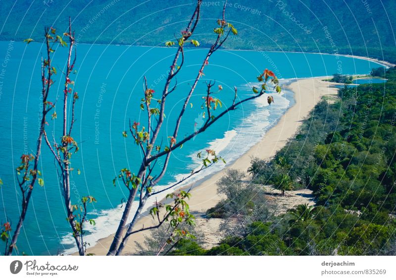 Blue sea, white beach, light breeze, deserted beach, turtles, birds, somewhere near Cairns, Queensland / Australia. Joy Well-being Relaxation Calm