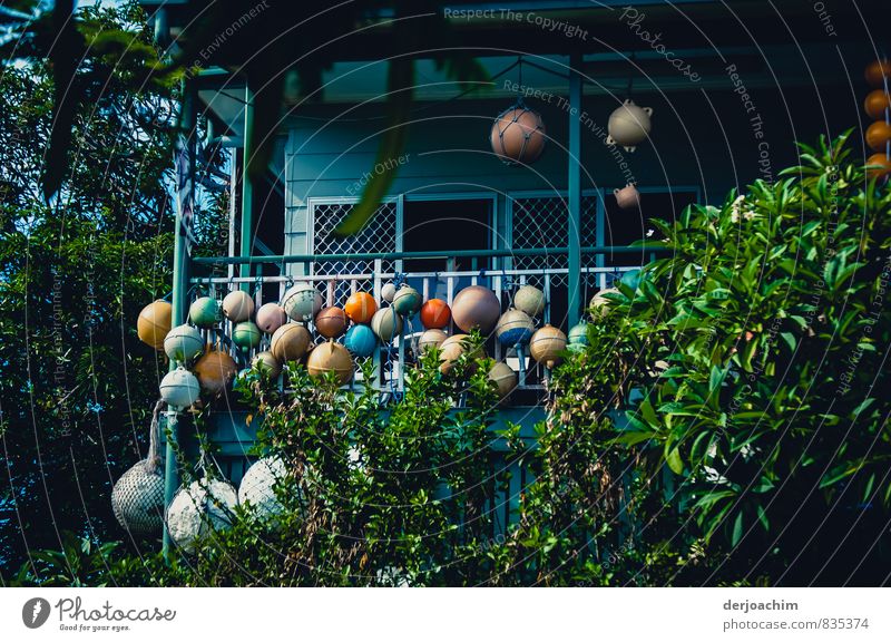 Various colorful buoys, large and small collected on a house terrace with green bushes, on Thursday Island. Queensland / Australia, Buoys Collector Joy