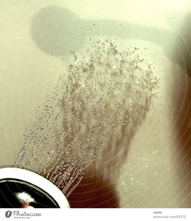 wash me, but Shower head Scaredy-cat Drop Bathroom Shower (Installation) Wash droplet Shadow Take a shower