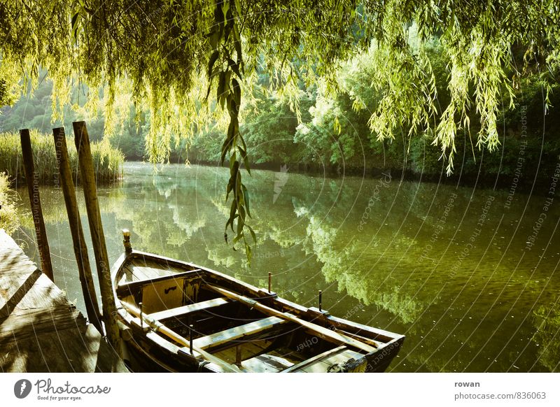 rowing boat Environment Nature Landscape Tree Lakeside River bank Navigation Boating trip Rowboat Harbour Anchor Warmth Weeping willow Drop anchor Watercraft