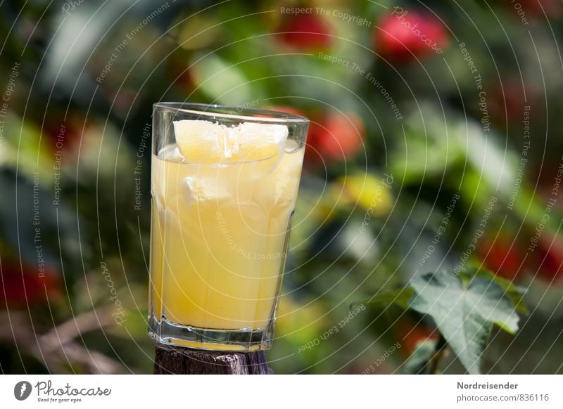 refreshment Food Fruit Organic produce Diet Beverage Cold drink Lemonade Glass Exotic Summer Garden Fragrance Fresh Healthy Sour Multicoloured Yellow To enjoy