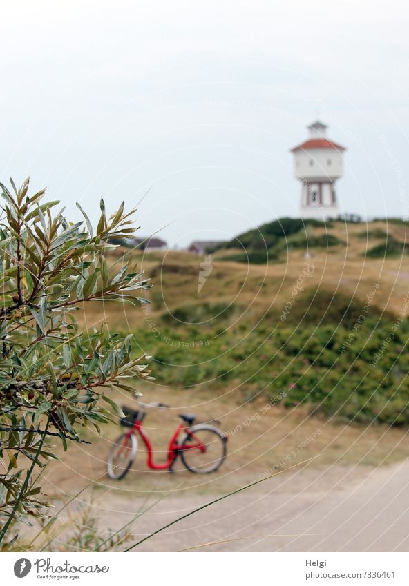 ...mit´m Radl da... Vacation & Travel Tourism Summer Summer vacation Environment Nature Landscape Plant Sky Beautiful weather Grass Bushes Island Langeoog Dune