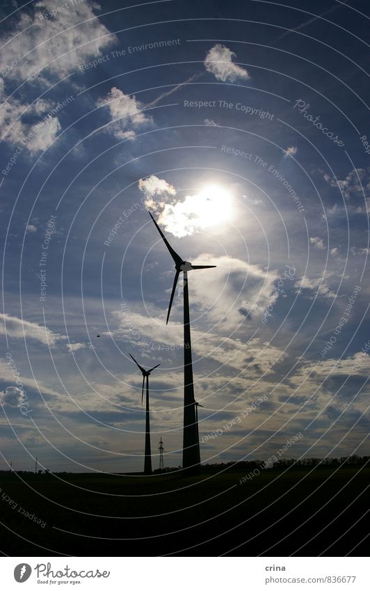 in the slipstream Energy industry Renewable energy Wind energy plant Landscape Sky Clouds Sun Beautiful weather Future Colour photo Subdued colour Exterior shot