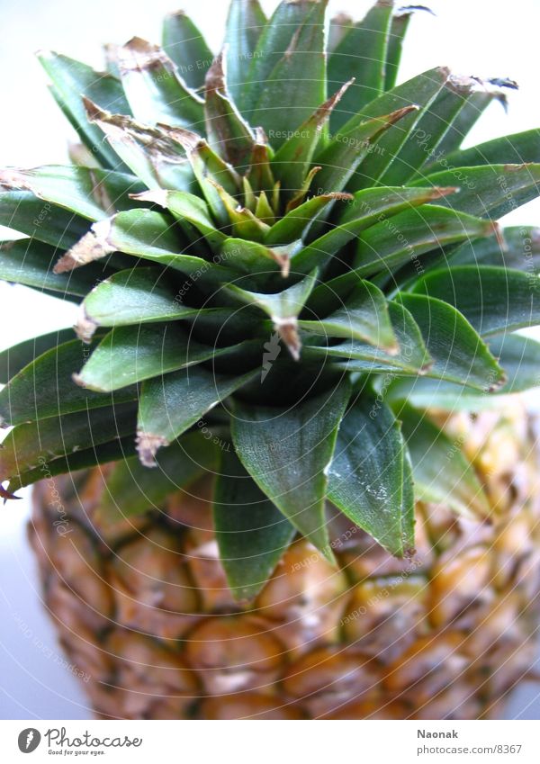 Anna wet Healthy Pineapple Fruit