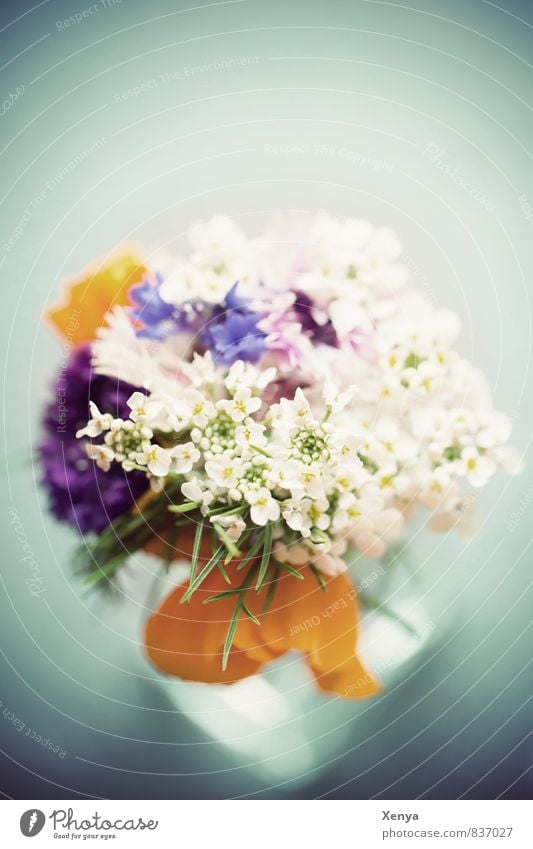 For Mama Plant Flower Retro Blue Yellow White Love Romance Bouquet Blossom Vase Mother's Day Gift Deserted Shallow depth of field