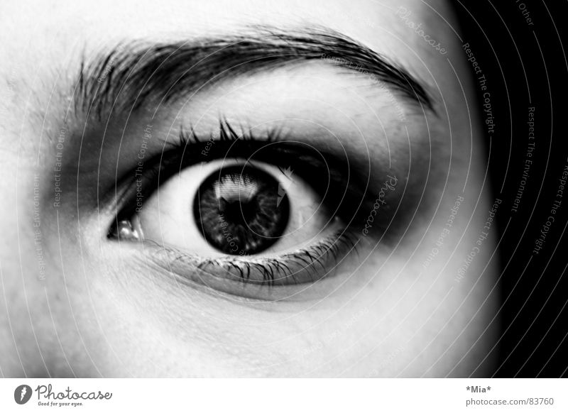 Boo! Frightening Looking Pupil Black Dark Woman Fear Panic Face Shadow Iris Black & white photo Snapshot Eyelash