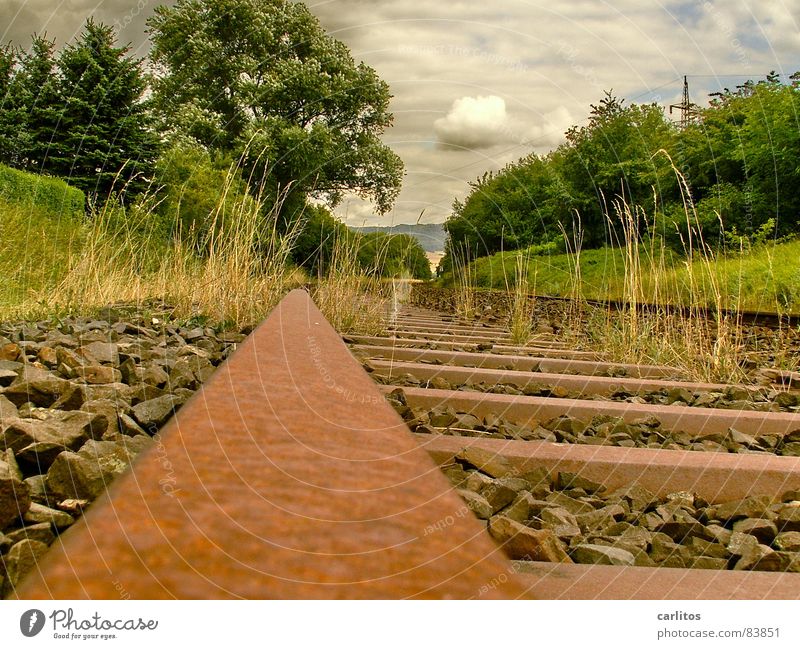 There's no train to anywhere. Ancillary road Uneconomical Railroad tracks Environment Shut down Rust Recycling Bushes Stainless Resume Clouds Wilderness