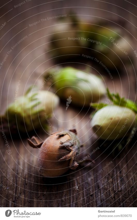 hazelnuts Autumn Brown Hazelnut Nut Hazel brown Autumnal Harvest Thanksgiving Christmas & Advent Colour photo Interior shot Studio shot Close-up Detail