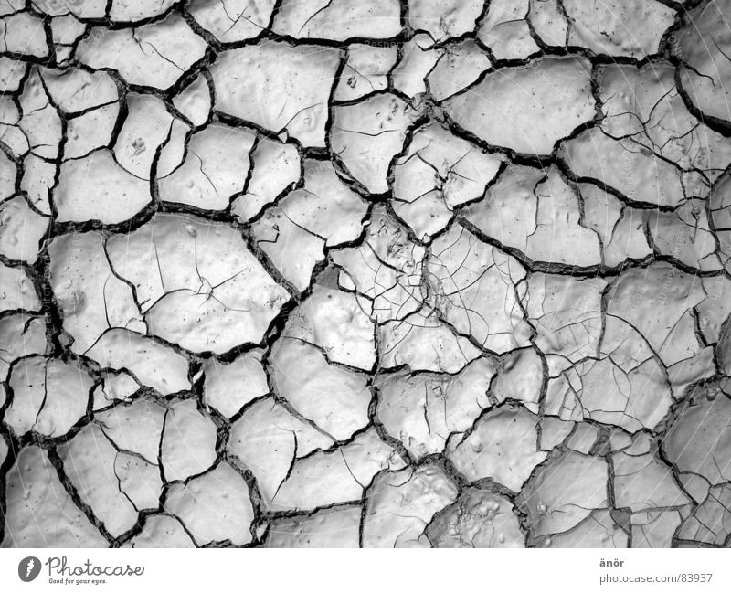 dry earth Dry Pattern Hot Gray Drought Desert Black & white photo Earth Crack & Rip & Tear Floor covering Thin not damp very warm