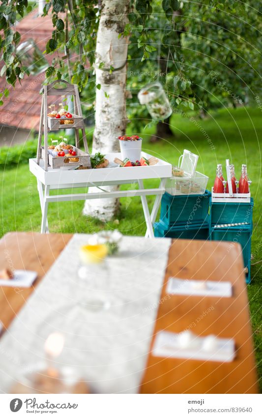 picnic Nutrition Banquet Picnic Slow food Finger food Garden Natural Leisure and hobbies Colour photo Exterior shot Deserted Day Shallow depth of field