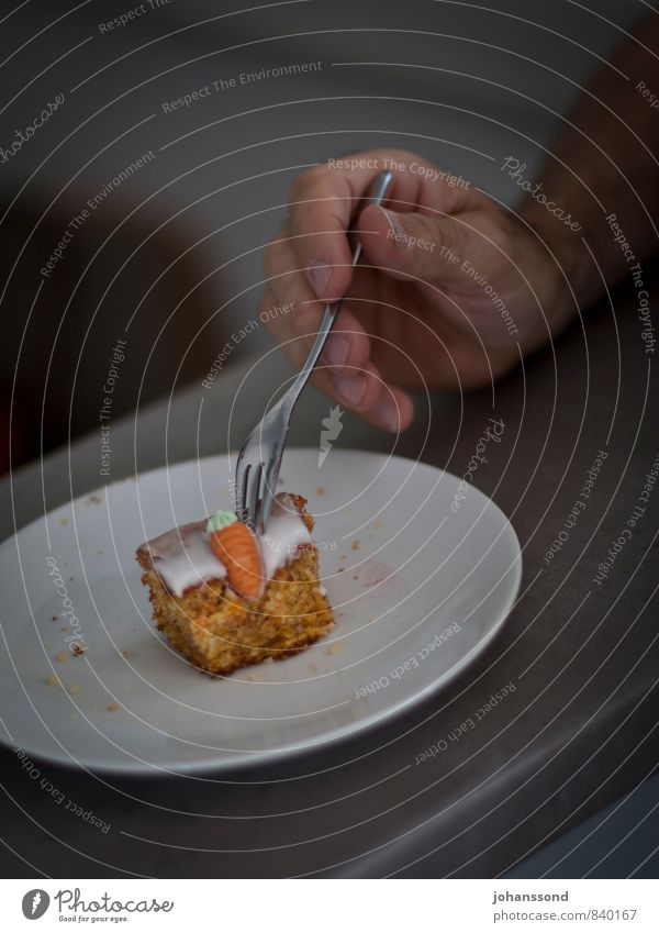 turnip tail Cake Dessert To have a coffee Plate Fork Hand Fingers Eating Feasts & Celebrations To enjoy Simple Cold Delicious Natural Round Gray