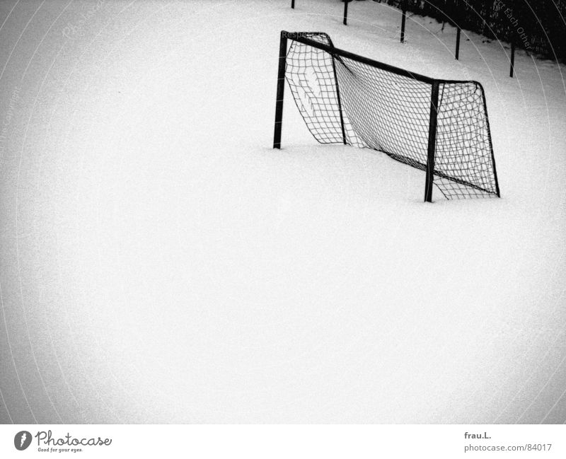 Gate in the snow St. Pauli Snow layer Virgin snow Broken Grainy Fence Bushes Cold Loneliness Empty Deserted Leisure and hobbies Ball sports bad lens Soccer