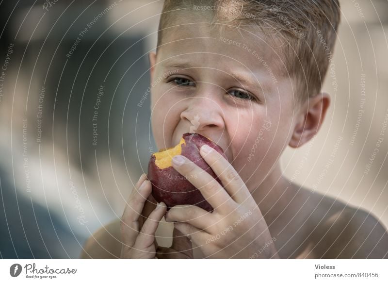 Vitamins ... Fruit Human being Masculine Child Boy (child) Infancy Face 3 - 8 years 8 - 13 years Eating Healthy Delicious Juicy Sweet Peach Portrait photograph