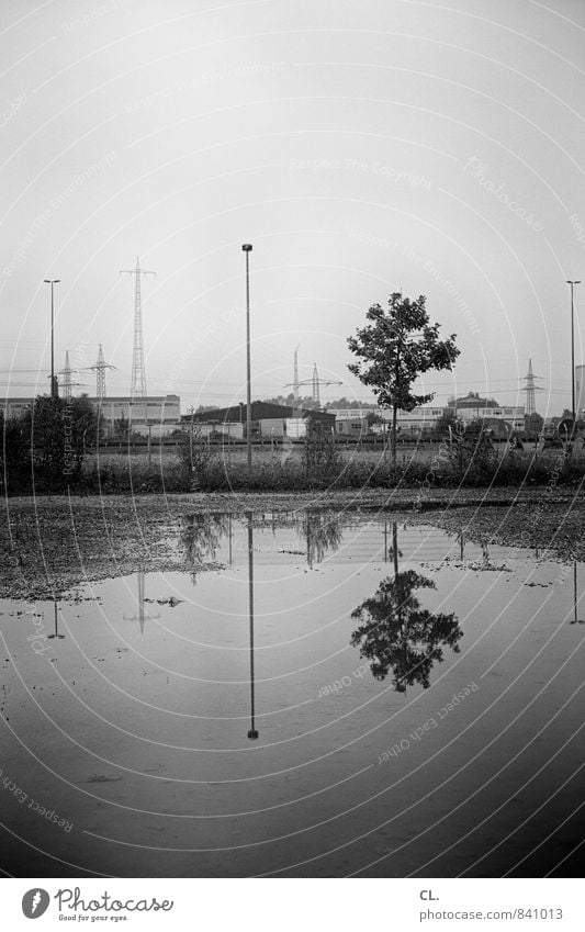 industrial estate Industry Environment Nature Landscape Water Sky Climate Bad weather Rain Tree Industrial plant Gloomy Gray Puddle Electricity pylon