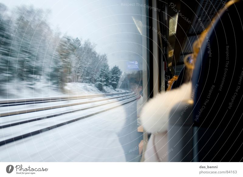 Railway impressions Railroad tracks Window Wanderlust Forest Regional railroad Winter Snowscape Tourism Leisure and hobbies Commuter Cold Physics Speed Lean