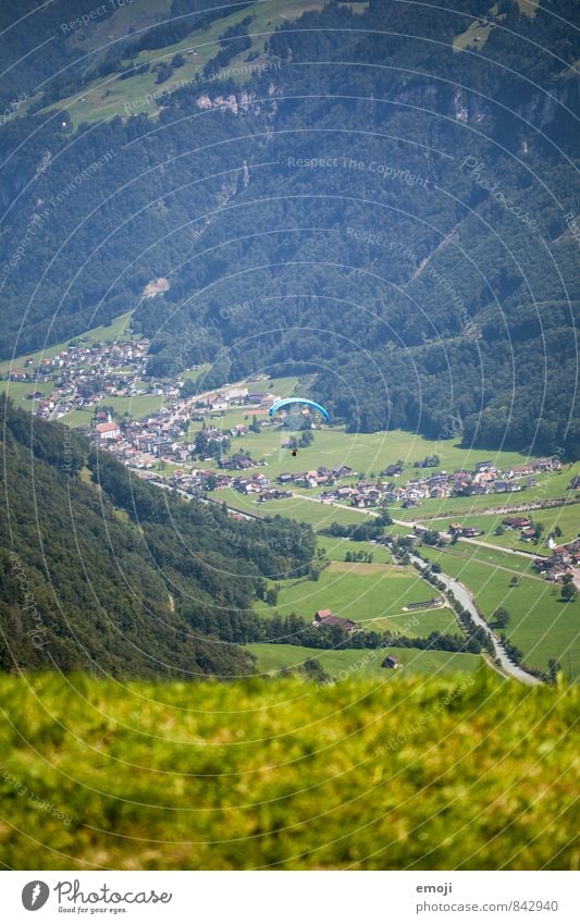 take a plane Environment Nature Landscape Summer Beautiful weather Meadow Field Natural Green Switzerland Paragliding Colour photo Exterior shot Deserted Day