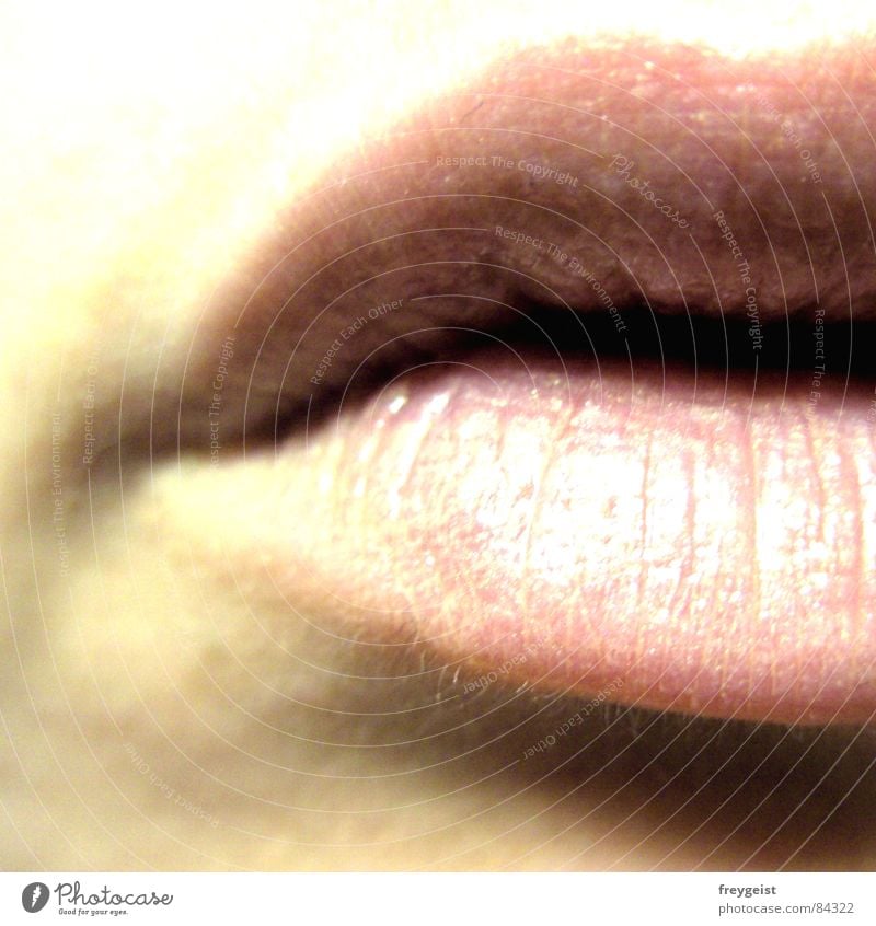 Lip Service Lips Kissing A Royalty Free Stock Phot