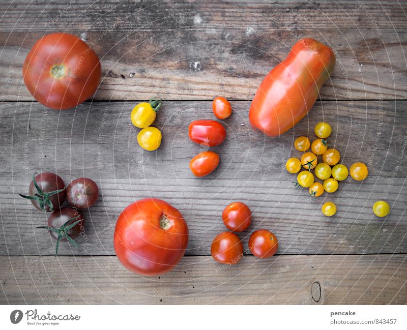 cultural diversity Vegetable Fruit Nutrition Organic produce Vegetarian diet Italian Food Nature Summer Autumn Agricultural crop Authentic Simple Happiness