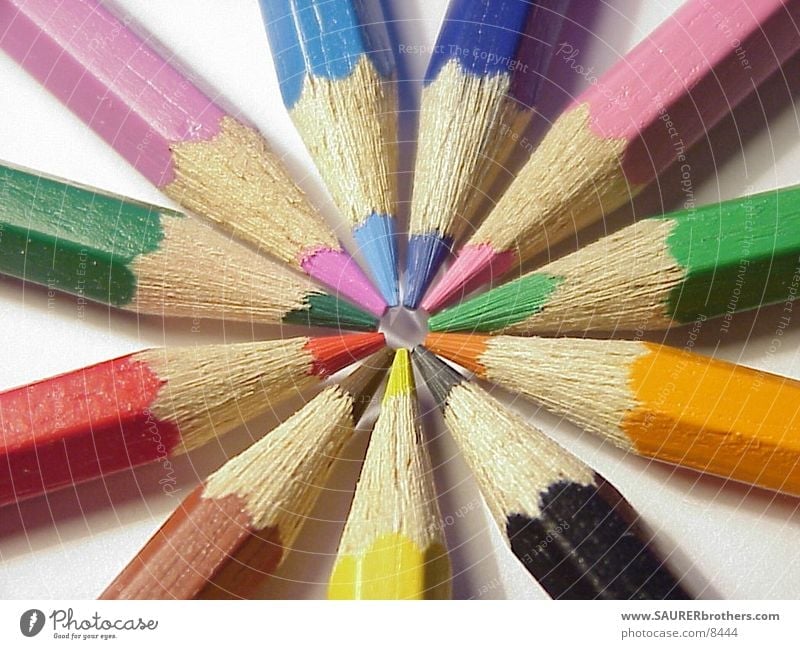 coloured pencils Crayon Things Colour Circle Point