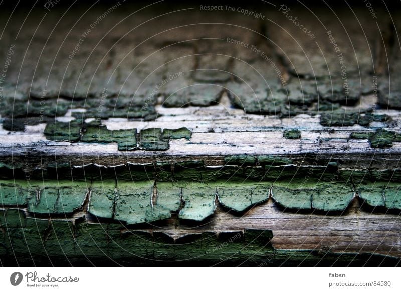 BOARD WITH FRILLS Shiver Wood Green Bleached Window Ancient Dry Source Bend Old Entrance Structures and shapes Stripe Hatch Shutter Distorted Redevelop Bursting