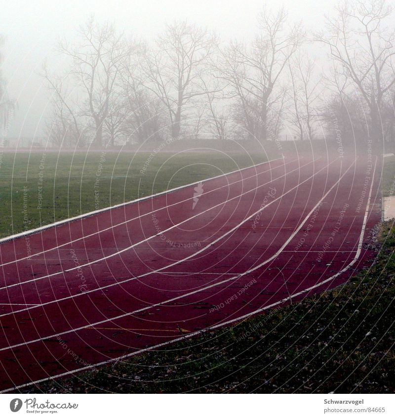 smoke sprint Fog Hundred-metre sprint Stadium Red Green Grass Jogging Loneliness Vail Sporting grounds Shroud of fog Sports Places Sneakers Track and Field