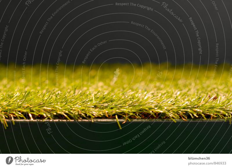 Hear the grass grow... Meadow Artificial lawn Floor covering Plastic Green Black Growth Grass Tuft of grass Blade of grass Structures and shapes Abstract Stairs