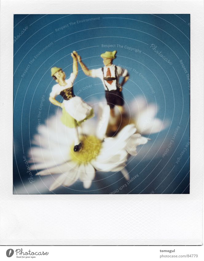 Bet you Look Good on the Dance Floor Polaroid Joy Oktoberfest Flower Blossom Hat Blue Happy Happiness Joie de vivre (Vitality) Spring fever Agreed Sympathy