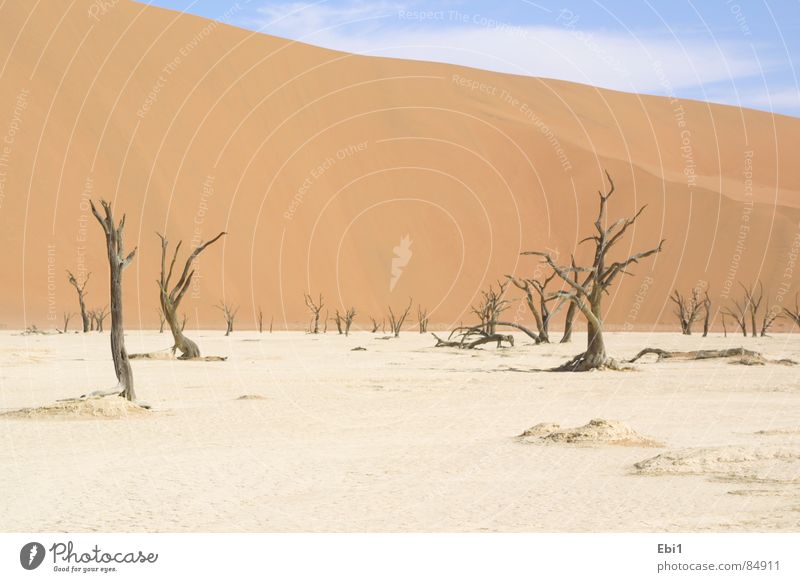 Namib Desert 1 Survival training Namibia Africa Physics Drought Summer Badlands Warmth Vacation & Travel