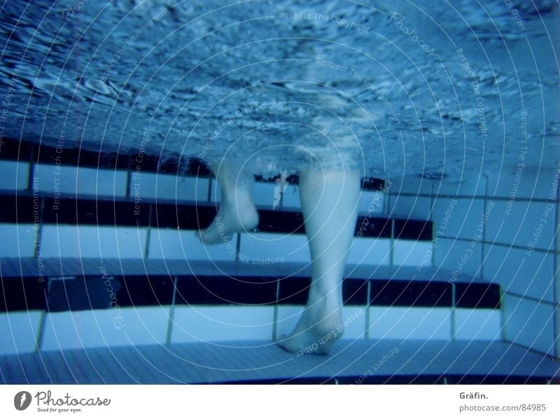 water treading Come Open-air swimming pool Going Bubble Black Surface Swimming pool Summer Aquatics ascend go out Water Underwater photo Feet Legs Blow Stairs