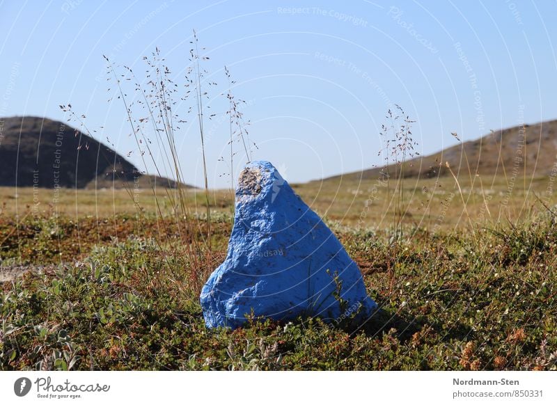 Stone, blue Hiking Cloudless sky Grass Hill Tundra Signs and labeling Loneliness Colour photo Exterior shot Deserted Shallow depth of field Worm's-eye view