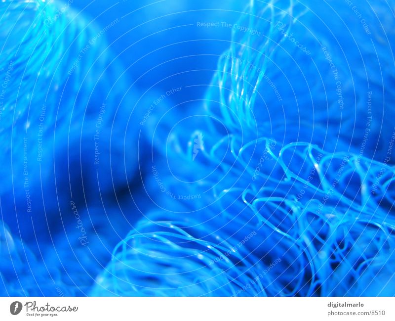 gliding blue Near Macro (Extreme close-up) Close-up Blue Net