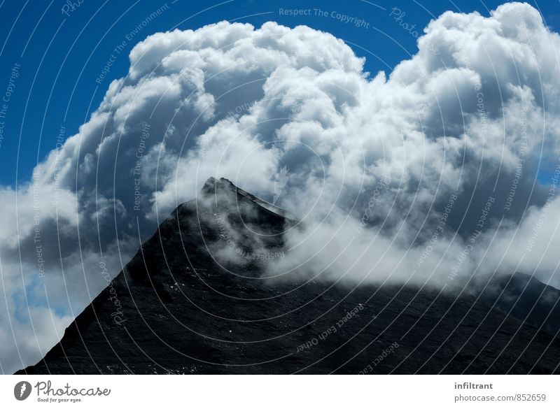 Peaks in clouds Mountain Hiking Sky Clouds Alps Blue Black White Adventure Freedom Environment Colour photo Exterior shot Deserted Copy Space bottom Day