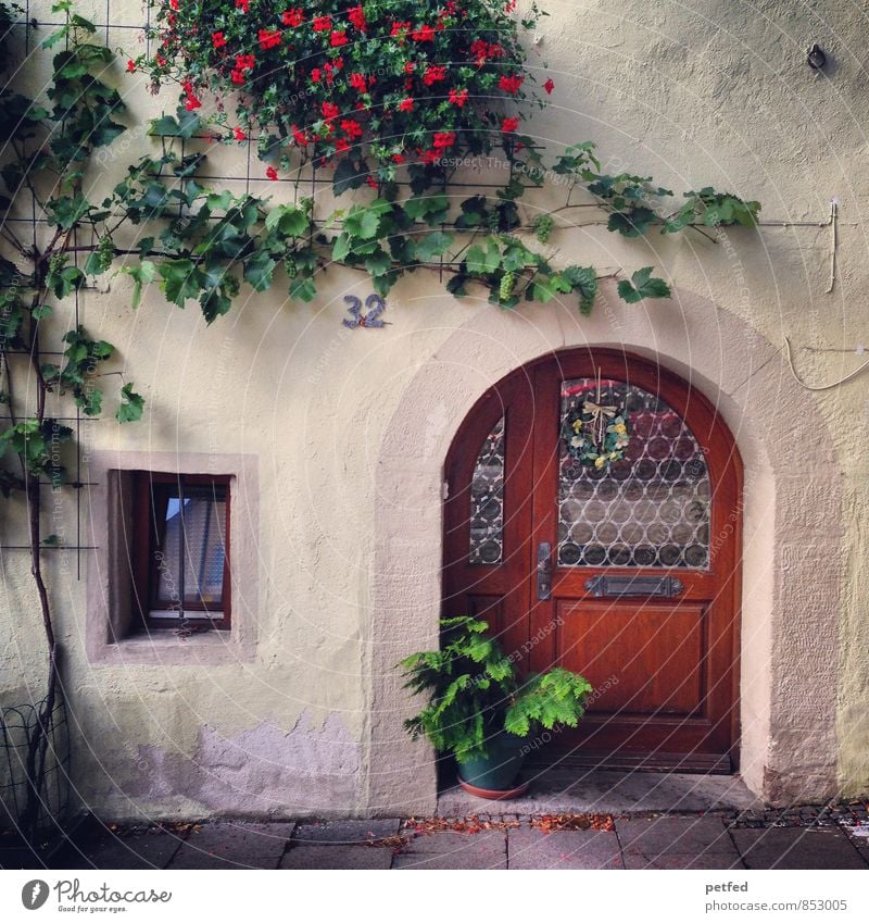 Domestic Views VII Plant Ivy Blossom Foliage plant House (Residential Structure) Wall (barrier) Wall (building) Facade Window Door Stone Wood Glass Cute Brown