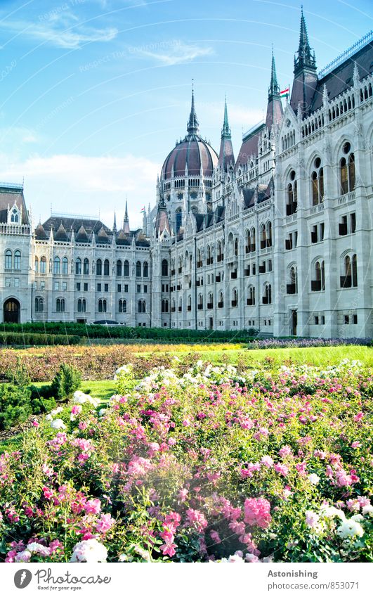 Parliament in Budapest Nature Landscape Plant Sky Clouds Summer Weather Beautiful weather Flower Grass Hungary Town Capital city Park Places Manmade structures