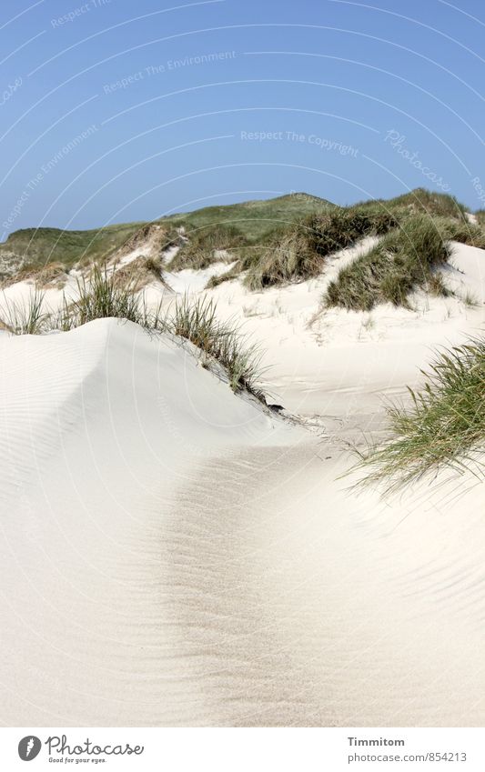 A picture of a dune. Vacation & Travel Environment Nature Landscape Plant Sand Sky Cloudless sky Beautiful weather Marram grass Dune Denmark Sanddrift Esthetic