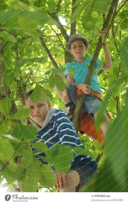 Boys looking down through leaves from the tree Trip Adventure Freedom Climbing Mountaineering Human being Masculine Child Boy (child) Brothers and sisters