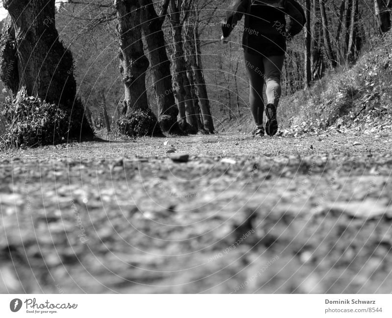 gone well Forest Jogger Jogging Leaf Tree Man Footwear Calf Sports Lanes & trails Walking walker Legs Musculature Running sprint Black & white photo