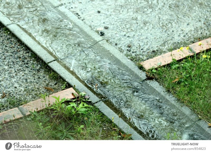 Rain flows crisscross through the garden Environment Nature Earth Water Drops of water Bad weather Grass Meadow Town Outskirts Deserted Building Architecture