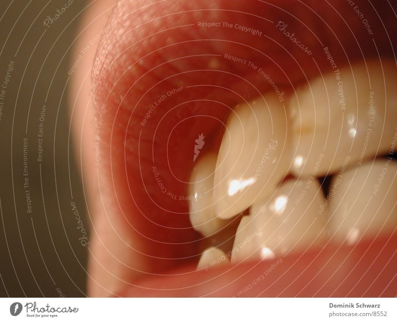 show teeth Upper lip Lower lip Lips Incisor Human being front teeth Mouth Teeth