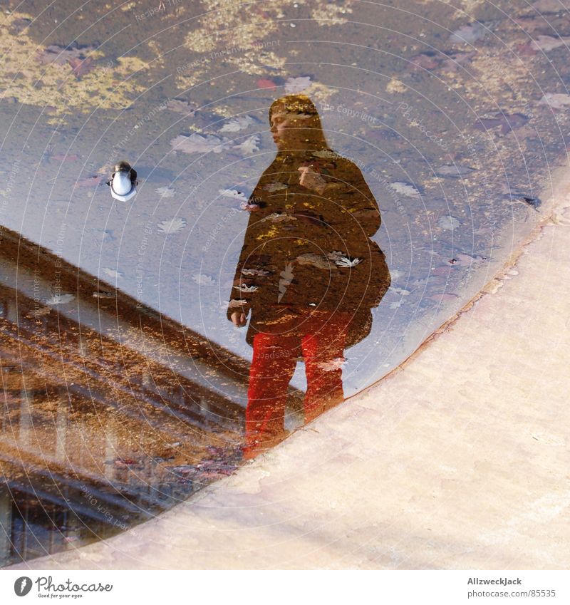 mainstream Puddle Woman Feminine Water Wet Mirror image Grief Distress Boredom Concentrate puddle case Reflection Distorted Looking Self portrait