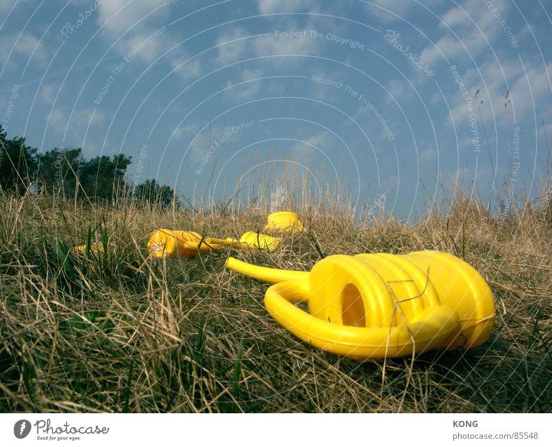 what was left. Lie Yellow Jug Meadow Grass Sky blue Fatigue Blade of grass Watering can Clouds Green space Plastic Clearing Glade Spring Obscure Multiple