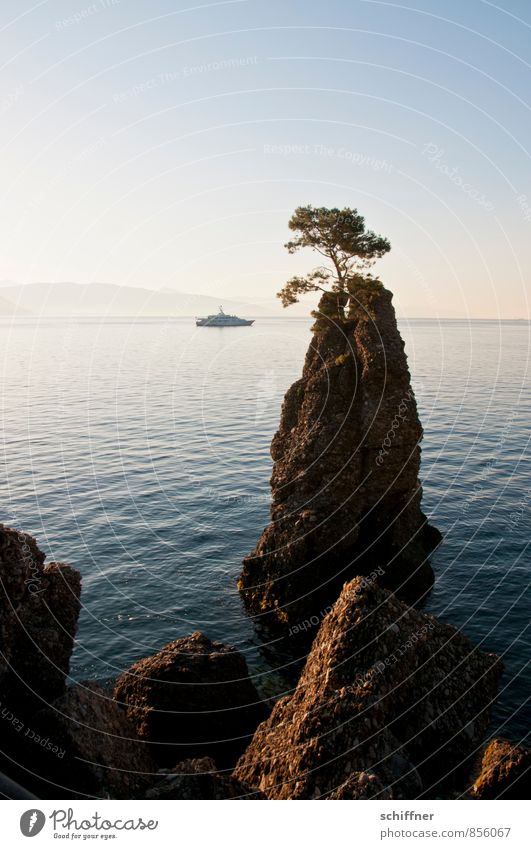 The tree and Lady Beatrice Landscape Cloudless sky Beautiful weather Tree Rock Waves Coast Bay Ocean Navigation Yacht Motorboat Esthetic Rock formation Steep