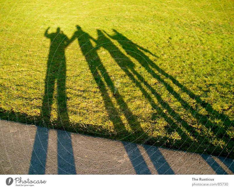 Friends 2 Friendship Green 4 Society Grass Shadow Shadowy existence Agreed Joy Meadow friends Consistent Pasture Lust Lawn four-part shadow room